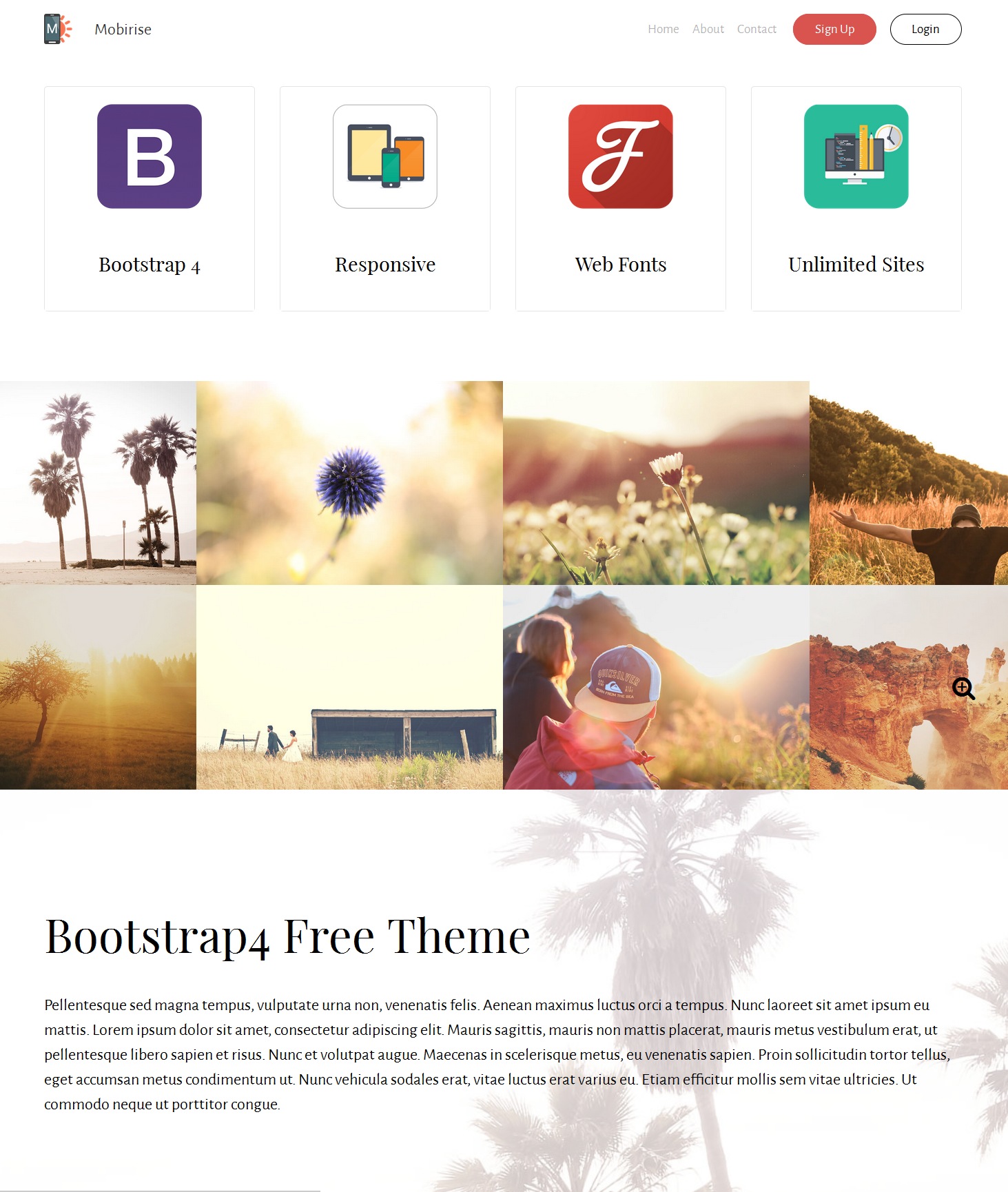 CSS3 Bootstrap Business Theme